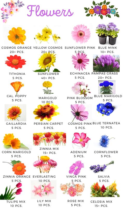 iba't ibang uri ng bulaklak drawing|FLOWER ARRANGEMENT GUIDE .